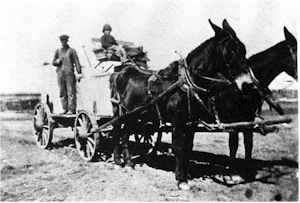 Garbage was collected to feed the hogs