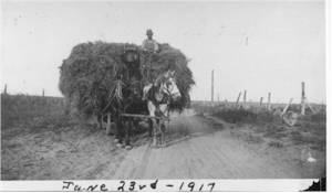 The Nylin home was in the country