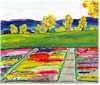 The flower beds near Commerce City