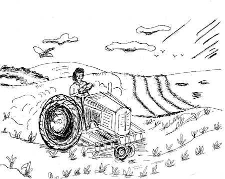 I loved driving the tractor