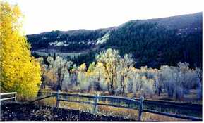 The spot where the mining town of Mount Harris was once located