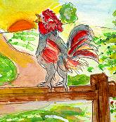 One of my pets was a rooster.
