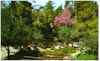 The garden was a beautiful place