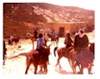 Wadi Musa where we got on horses