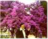 This is Chuck, one of the men in our tour group, in front of lovely purple flowers