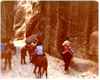 We rode horses as Arab guides walked beside us.